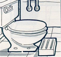 toilet with step